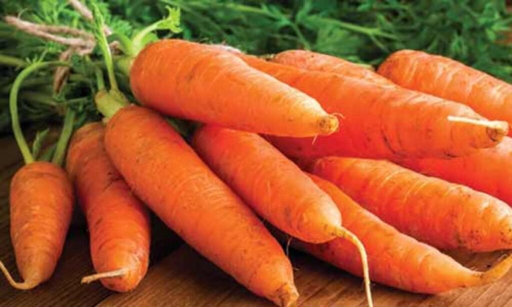 carrots