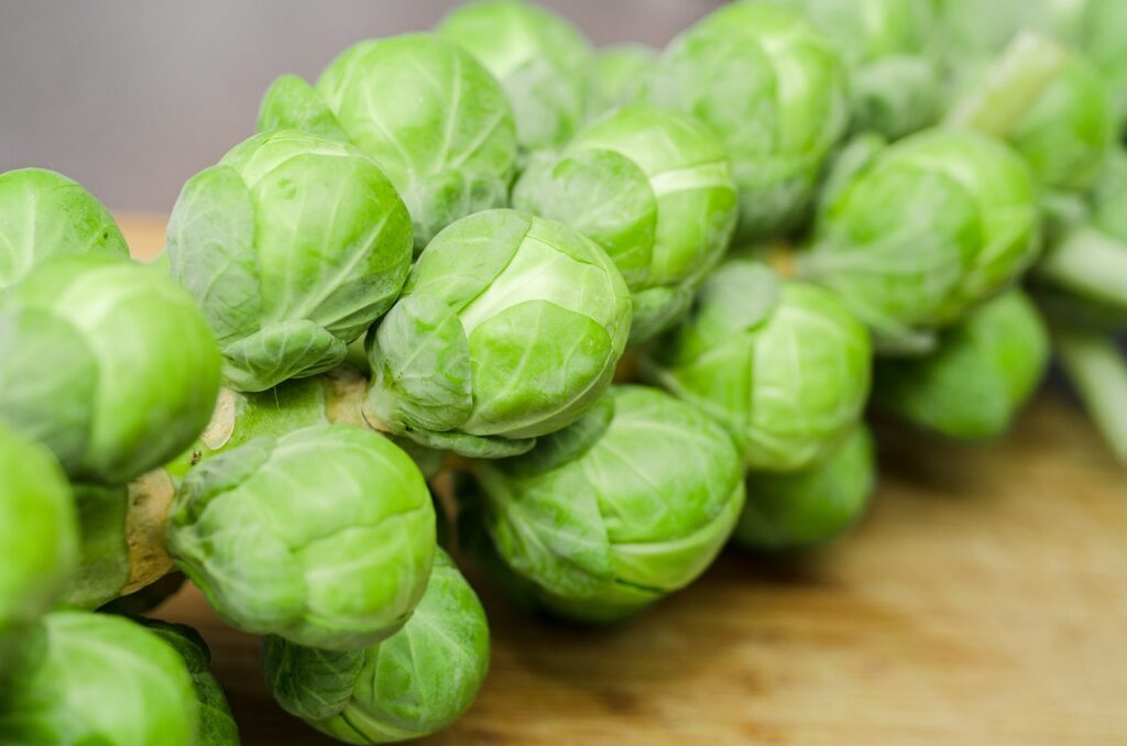 sprouts, vegetables, diner-1091633.jpg