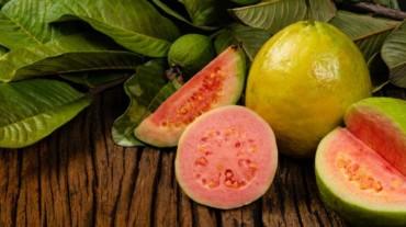 benefits of guava