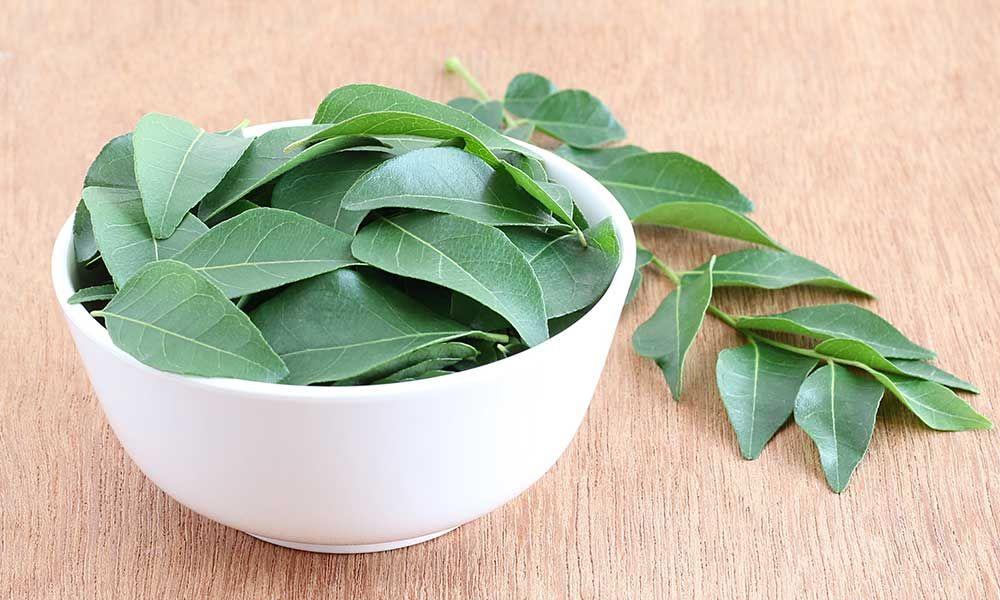 The Health Benefits of Curry Leaves Aaziban