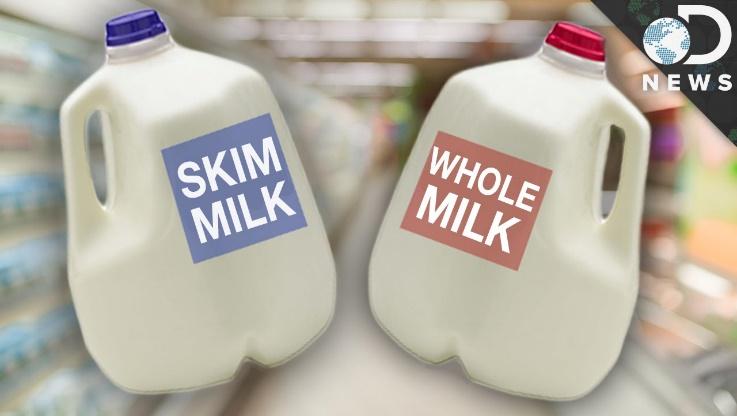 skimmed milk vs regular milk