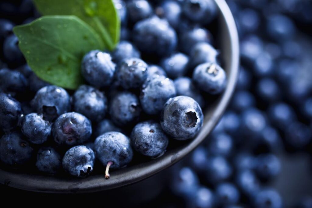 health benefits of blueberries