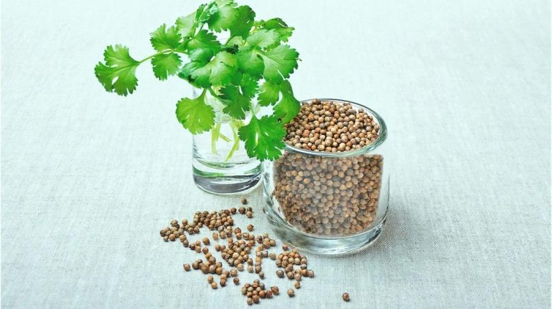 health benefits of coriander