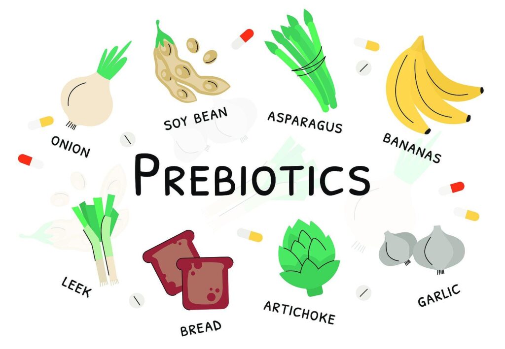 prebiotic foods