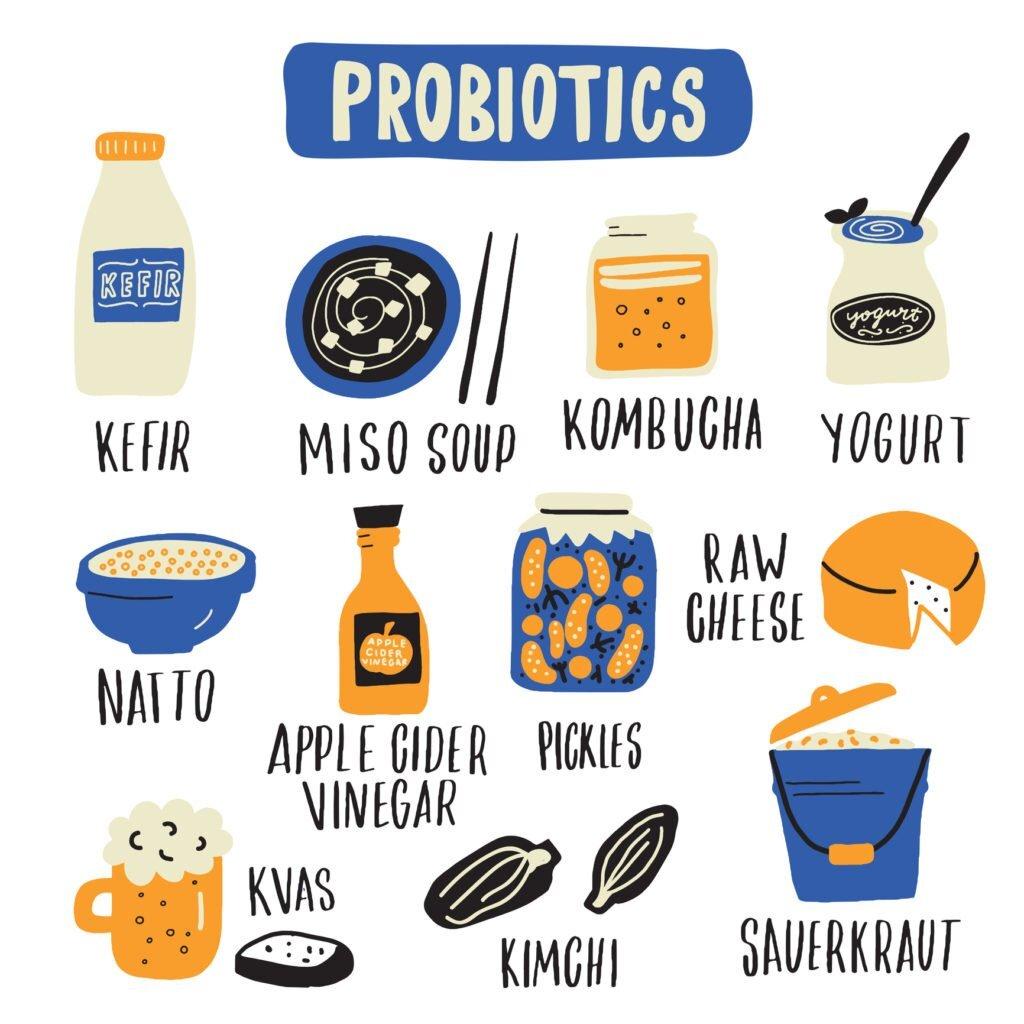 probiotics foods