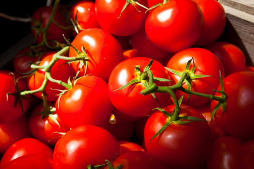 the role of tomatoes of gout