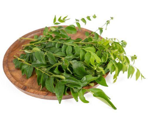 curry leaves in your diabetes diet