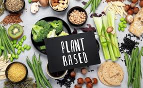 plant based diet for cholesterol