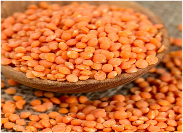 lentils(protein packed)