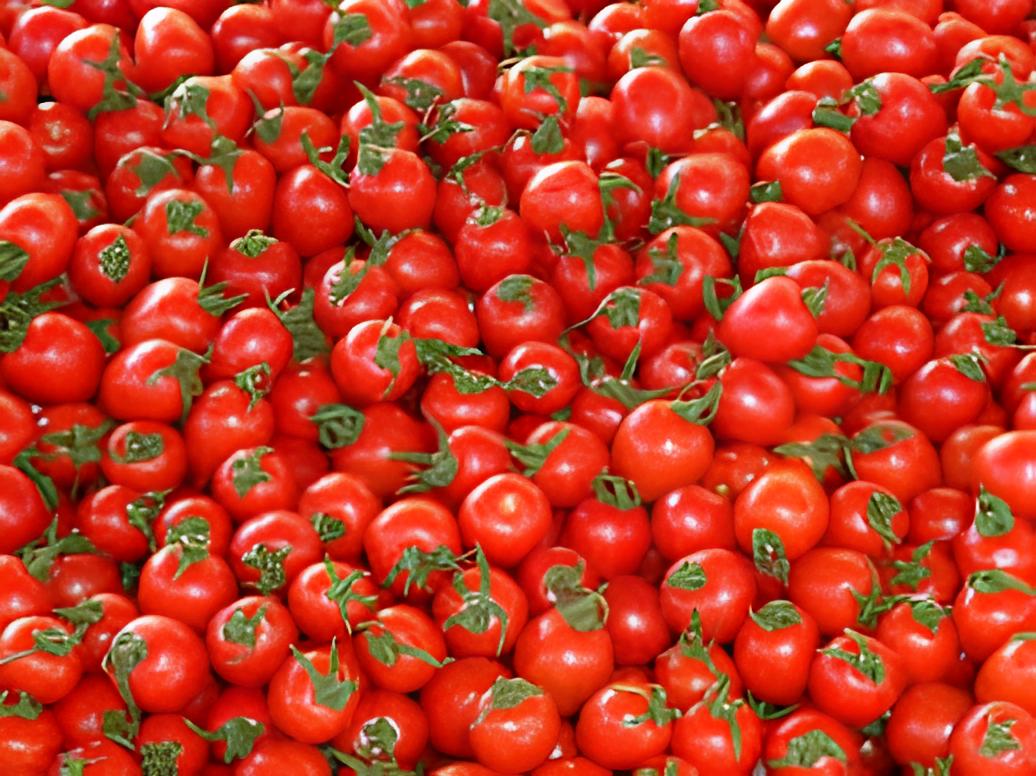 tomatoes(kidney Disease)